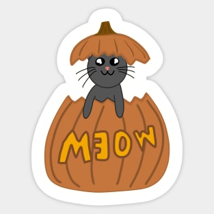 Halloween Cat Sticker